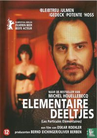 Elementaire deeltjes