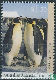 Animaux de l'Antarctique