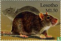 Mammals