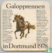 Galopprennen