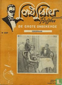 De grote onbekende 2029