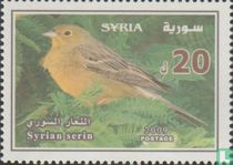 Sérine syrienne