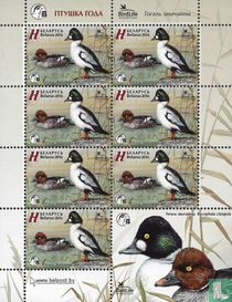 Oiseaux de l'année