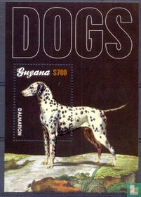 dalmatien