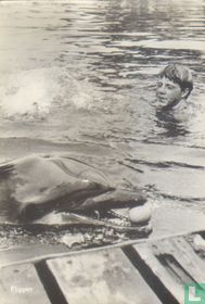Flipper kaufen