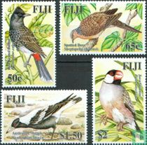 Oiseaux exotiques  acheter