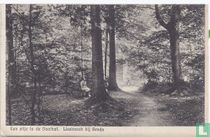 Doolhof Liesbosch