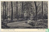 Engelse Park Liesbosch