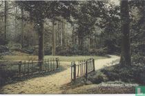Engelse Park Liesbosch