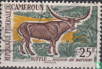 Ankole-Watusi