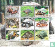 Bhutan - Turtles