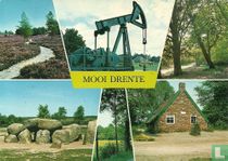 Mooi Drente