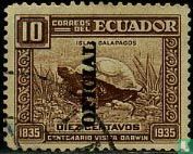 OFICIAL