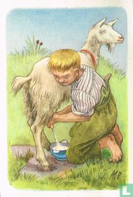 Heidi