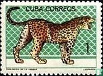 Zoo de La Havane