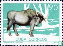 Zoo de la Havane