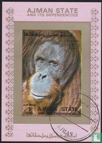 Mammals