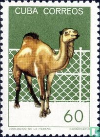 Zoo de la Havane