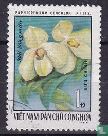 Orchidées