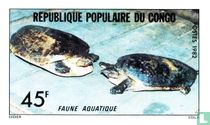 Tortues
