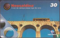 Neosaldina