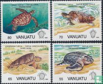 Tortues