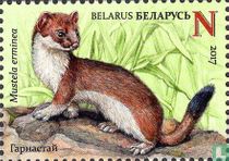 Mammals