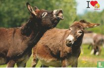 Stichting Dierenlot (ezels)