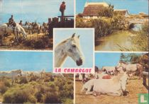 La Camargue
