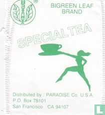 Bigreen Leaf Brand theezakjes catalogus