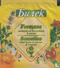 Bilec tea bags catalogue