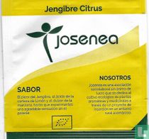 Jengibre Citrus