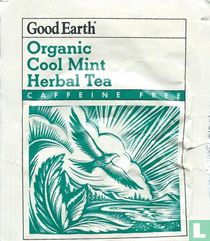 Cool Mint Herbal Tea