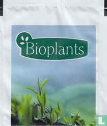 Bioplants teebeutel katalog