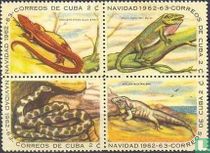 Fragment de reptiles