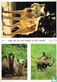 Album Esso 8-39-6
