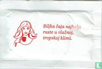 Biljka Caja Najbolje
