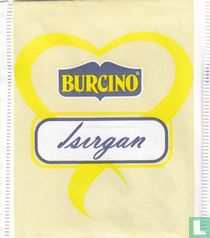 Burcino [r] sachets de thé catalogue