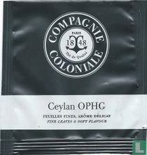 Compagnie Coloniale theezakjes catalogus