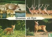 Groeten uit Epe