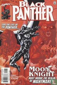 Black Panther 22