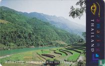 Teracced Rice Paddies, Mae Hong Son Province