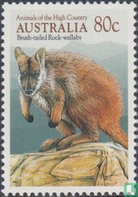 Tiere des Hochgebirges