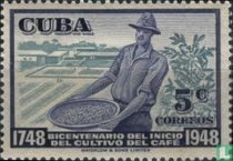 Culture cafée