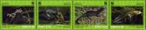 Northern crested newt