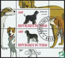 Dogs   for sale