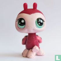 Ladybug 