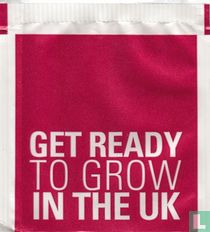 UK Trade & Investment tea bags catalogue