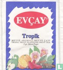 Evçay [r] tea bags catalogue