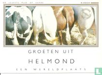 Groeten uit Helmond 